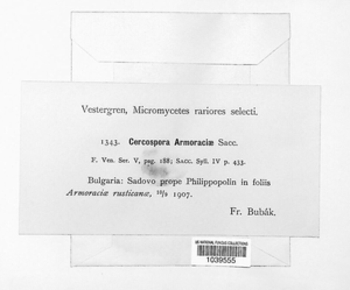 Cercospora armoraciae image